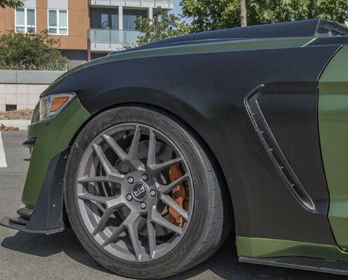 2015-2017 Mustang GT350 Fender S550Euros