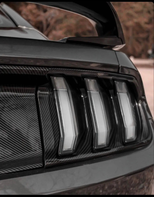 Carbon Fiber Look Trunk Panel For Ford Mustang 2015-2023 – Glossy Decklid Cover
